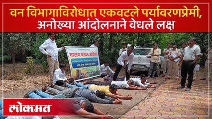 भोरमध्ये वृक्षतोडीनंतर पर्यावरण प्रेमींच्या आंदोलनाने वेधलं लक्ष