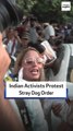 Indian Activists Protest Stray Dog Order