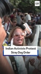 Indian Activists Protest Stray Dog Order