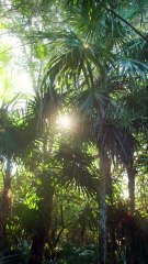 L'humanité peut-ellle survivre à tout ?