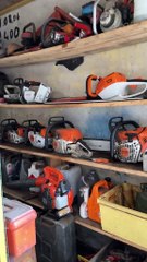 Découvrez la Caverne d'Ali Baba : Un Trésor Inattendu ! ✨