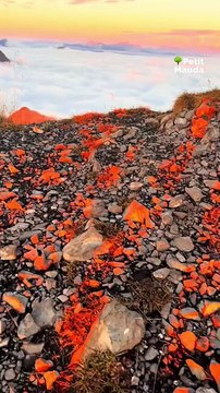Envie de grands espaces, d’air pur et de vues à couper le souffle ? 🏞️✨