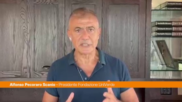 Vesuvio, Pecoraro Scanio Danni gravi, punire responsabili dei roghi