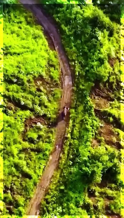 भारत में अब बन चुका है दुनिया का सबसे बड़ा एलिफेंट वेलनेस सेंटर
