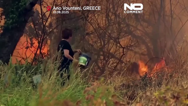 La Grecia combatte contro numerosi incendi alimentati da forti venti