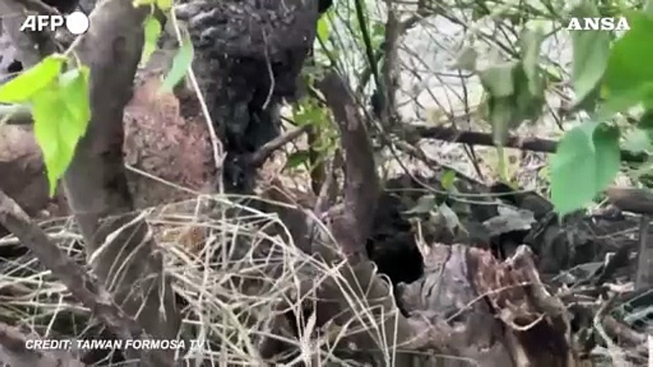 Il tifone Podul si abbatte su Taiwan