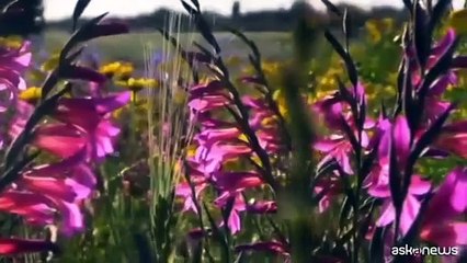 Lungo la costa del Sinis in bici, tra falesie e spiagge di quarzo