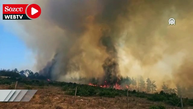 Çanakkale'de çıkan orman yangınına müdahale ediliyor