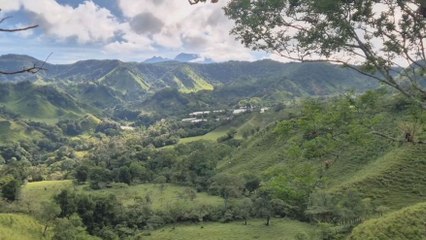Autoridades meteorológicas brindan recomendaciones al sector agropecuario ante temporada lluviosa