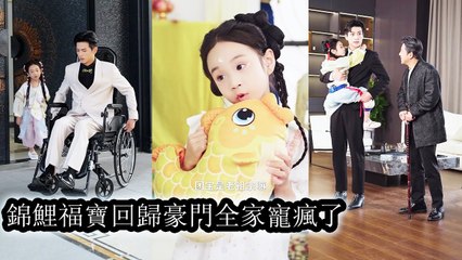 Fubao returned to the elite, helped the disabled CEO secure his place, becoming adored