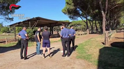 Lavoro nel settore agricolo, scoperte 729 posizioni irregolari