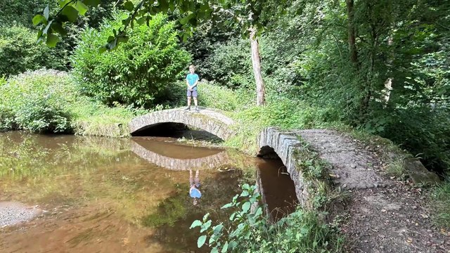 Sunnyhurst Woods, Darwen