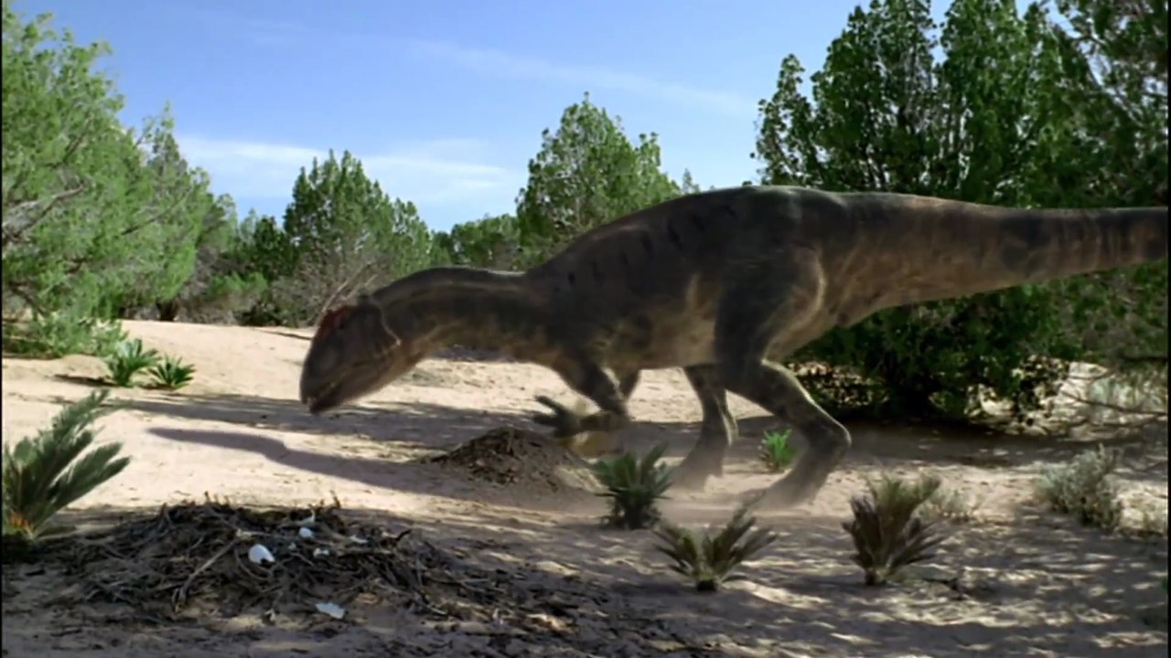 Allosaurus A Walking with Dinosaurs Special The Ballad of Big Al Part 1 of 2