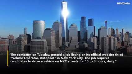 Elon Musk's Tesla Offering Up To $33-Hour For NYC Robotaxi Test Drivers