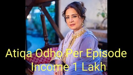Sher Drama Cast Salary Episode 24 25 26 _Sher Drama All Cast Salary _#DanishTaim