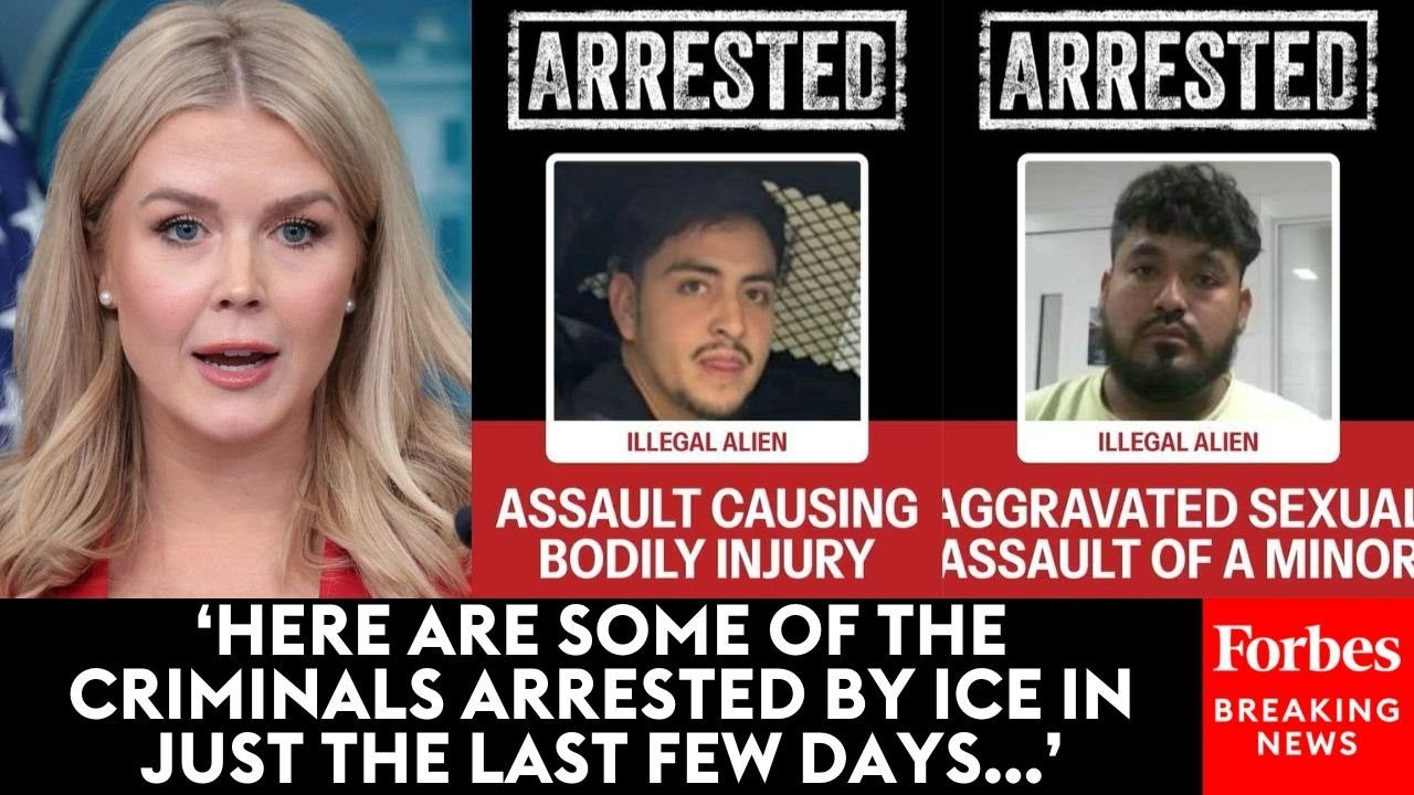 Karoline Leavitt Lists Some Of The People Arrested By ICE As Trump Admin Crackdown Continues