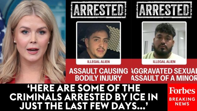Karoline Leavitt Lists Some Of The People Arrested By ICE As Trump Admin Crackdown Continues