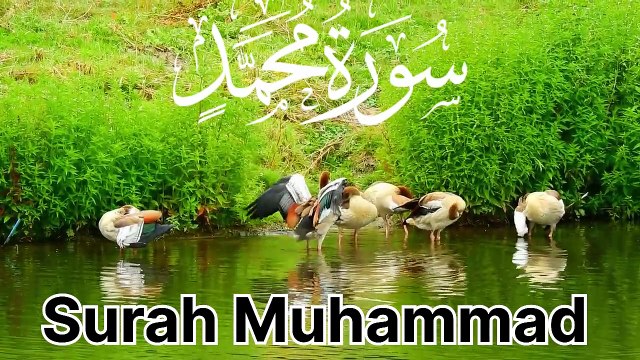 🔥🔥Surah Muhammad – Victory for the Believers & Warning for the Disbelievers🔥🔥