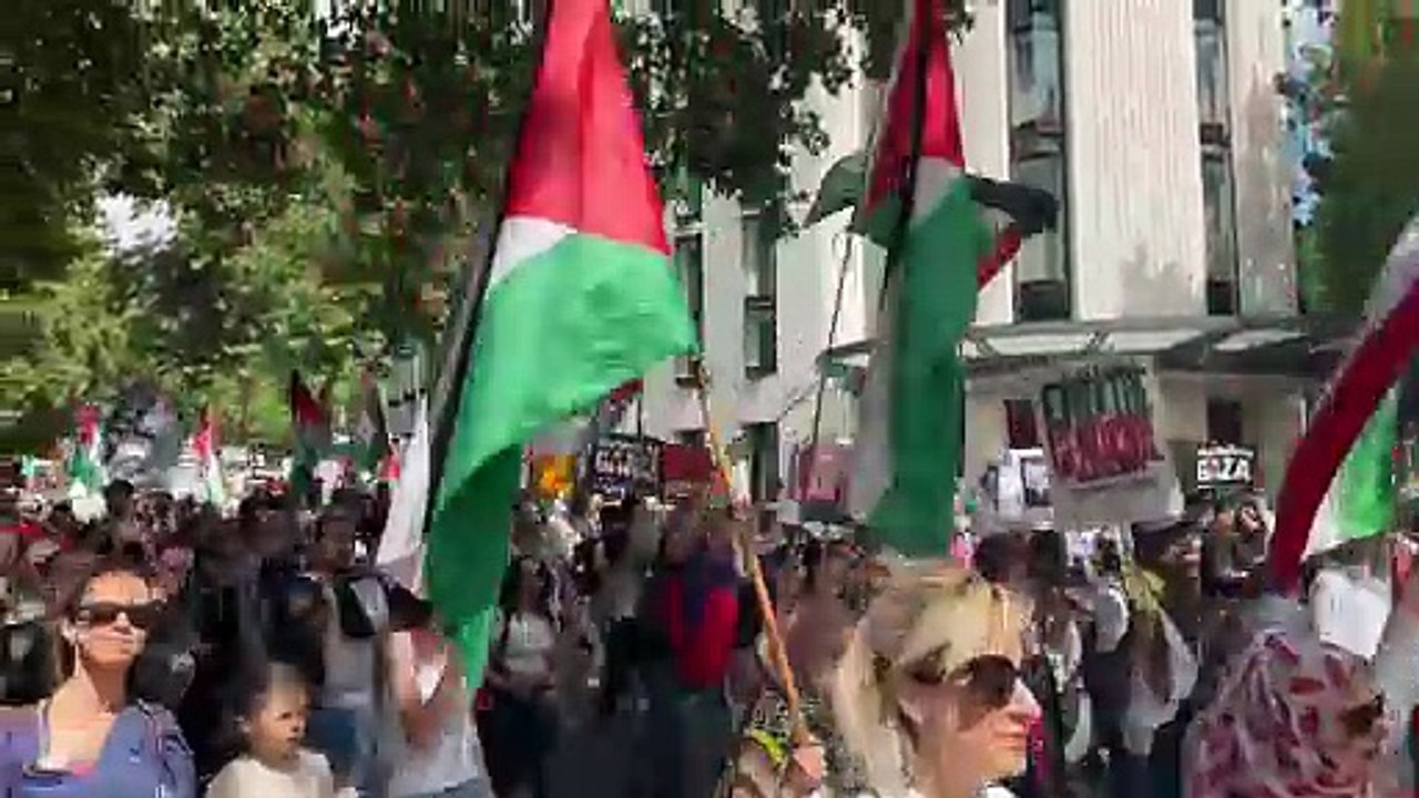 Video from London rally where a Guildford protester was detained during demonstrations against proscription of Palestine Action
