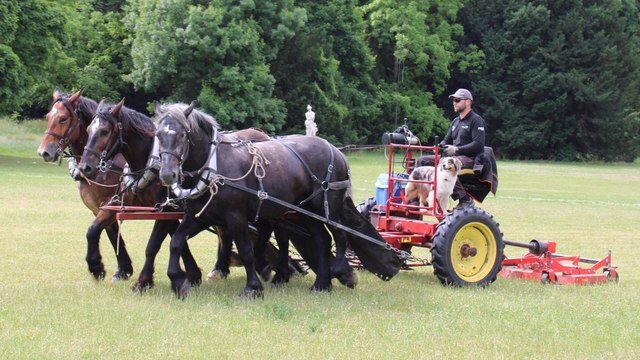 TRACTION ANIMALE dans les ESPACES VERTS avec SMDA