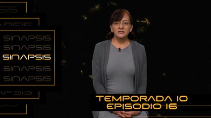 T10 Ep. 16 Sinapsis | Dismorfia muscular: obsesión con la musculatura