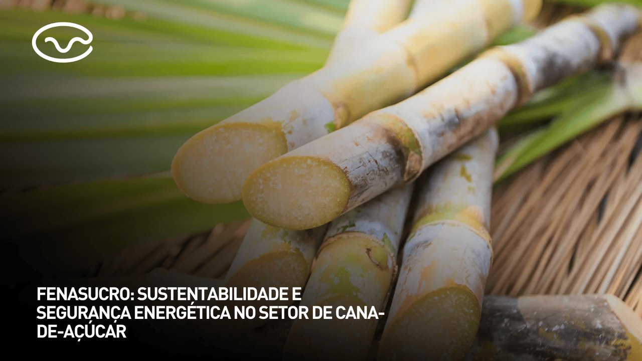 Plínio Nastari comenta sobre sustentabilidade e segurança energética no setor de cana-de-açúcar