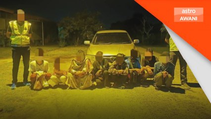 PGA tahan lapan pendatang tanpa izin, rampas ganja lebih 3KG