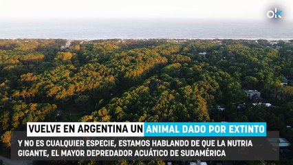 Bombazo en la zoología: reaparece en Argentina un gigantesco animal que se creía extinto desde hace 40 años