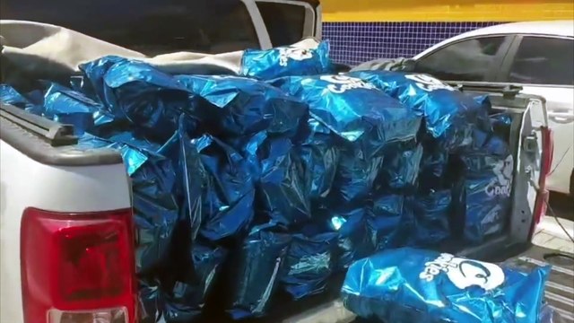 apreensão de 185 quilos de maconha na BR-423 pela PRF e DENARC abre investigação sobre tráfico de drogas