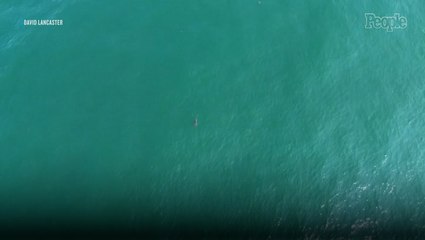 10-Foot Great White Shark Spotted Near Popular Maine Beaches as Police Issue Warning