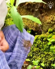 This little boy has our hearts! ❤️😍