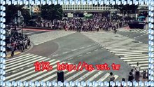 Telegram机器人,电报(TG)暴力发送,Telegram获客,Telegram推广.