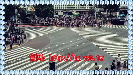 Telegram机器人,电报(TG)暴力发送,Telegram获客,Telegram推广.