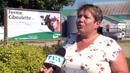 Vague de chaleur: un casse-tête pour les producteurs agricoles