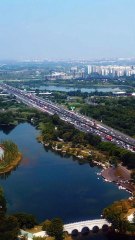 What Should I Do- I Think I'm Falling In Love With A 19-Year-Old Boyhoneyreels Minidrama