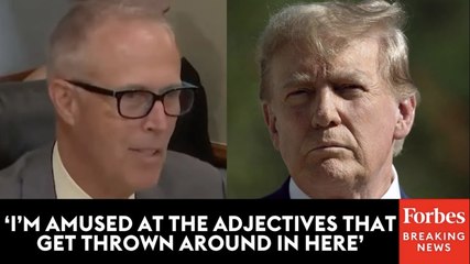 'Judges Rule Against Donald Trump And They Are Deemed Activists': Huffman Calls Out GOP