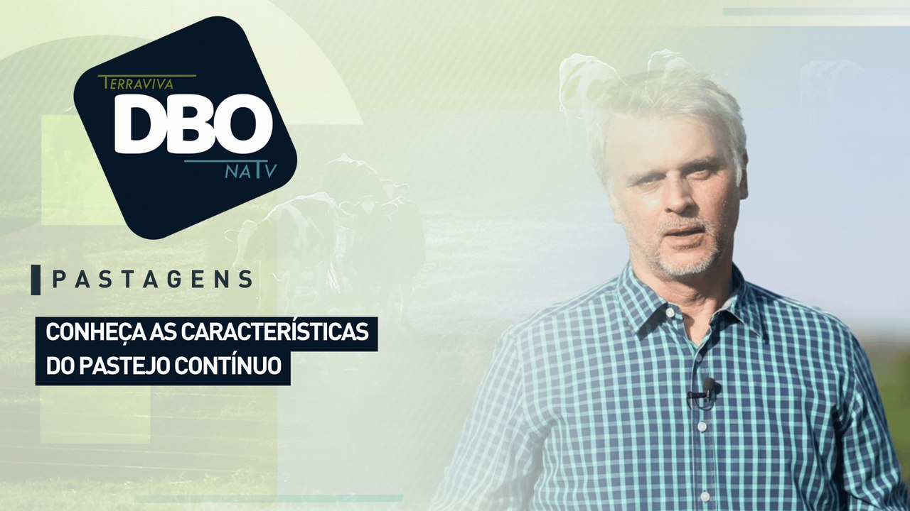 Pastagens: conheça as características do pastejo contínuo