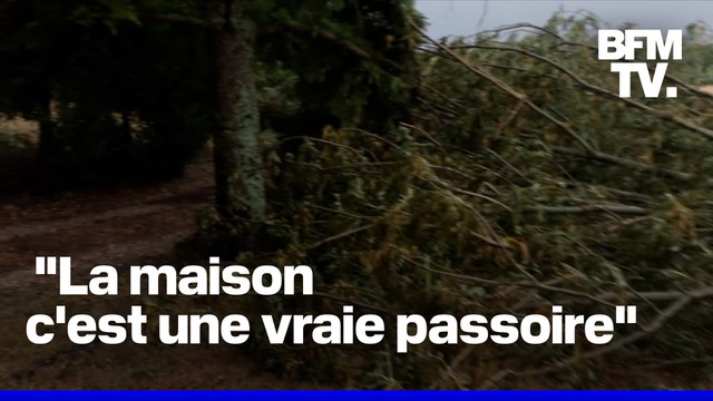 Pluie, rafales de vent, grêle: des orages ont éclaté de la Haute-Garonne à la Nièvre