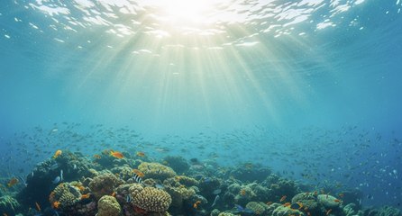 The Ocean in the Spotlight: What Secrets Does It Hide?