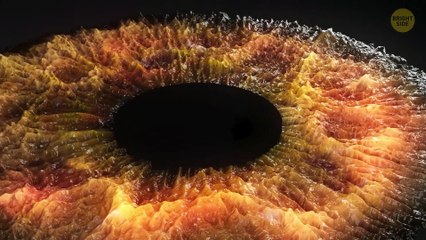 What Happens Inside Your Eyes - 3D Animation