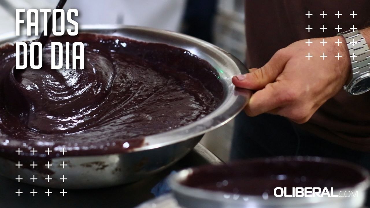 Aplicativo Açaí no Ponto é disponibilizado para cadastro de pontos de venda de açaí em Belém