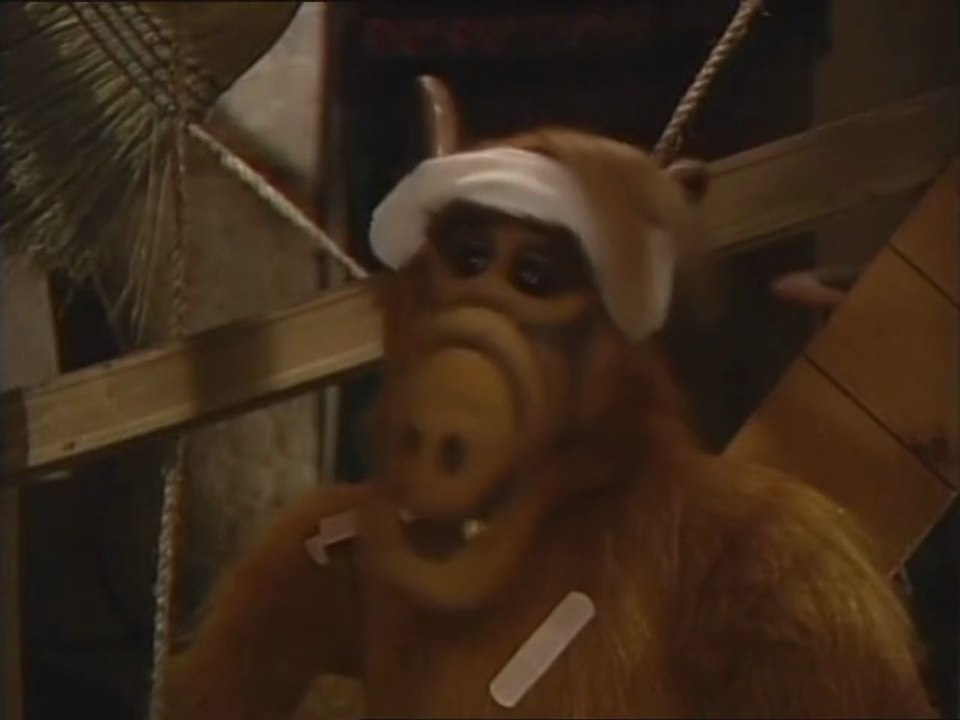 ALF Staffel 3 Folge 19 'Der Pechvogel' #Deutsch #HD