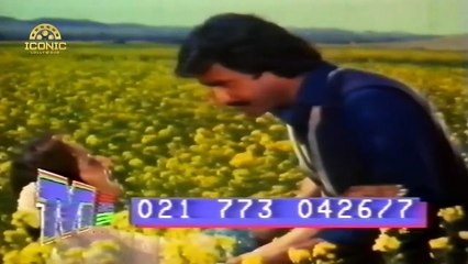 HAI VE PEELAYA PHUL NE KHEETAN DE - NOOR JEHAN - NADRA - FILM MOULA BUX