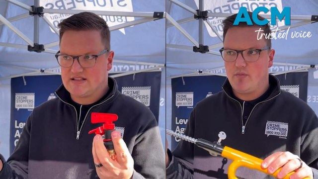 Deter car thieves with these anti-theft devices
