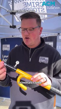 Deter car thieves with these anti-theft devices