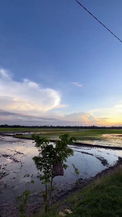 Assam_�
