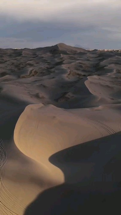 Las Dunas de Samalayuca: El Desierto de Chihuahua