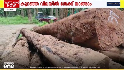 നിലമ്പൂർ തേക്കിനോളം ഗുണനിലവാരം; കോന്നി തടി ഡിപ്പോയിലെ 60 വർഷത്തിലേറെ പഴക്കമുള്ള തടികൾ വാങ്ങാം