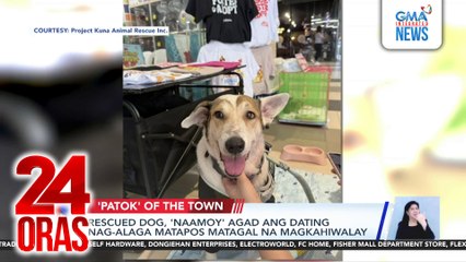 Rescued dog, 'naamoy' agad ang dating nag-alaga matapos matagal na magkahiwalay | 24 Oras