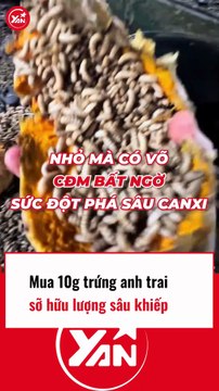 Mua 10g trứng sâu, anh trai sở hữu lượng sâu khủng khiếp